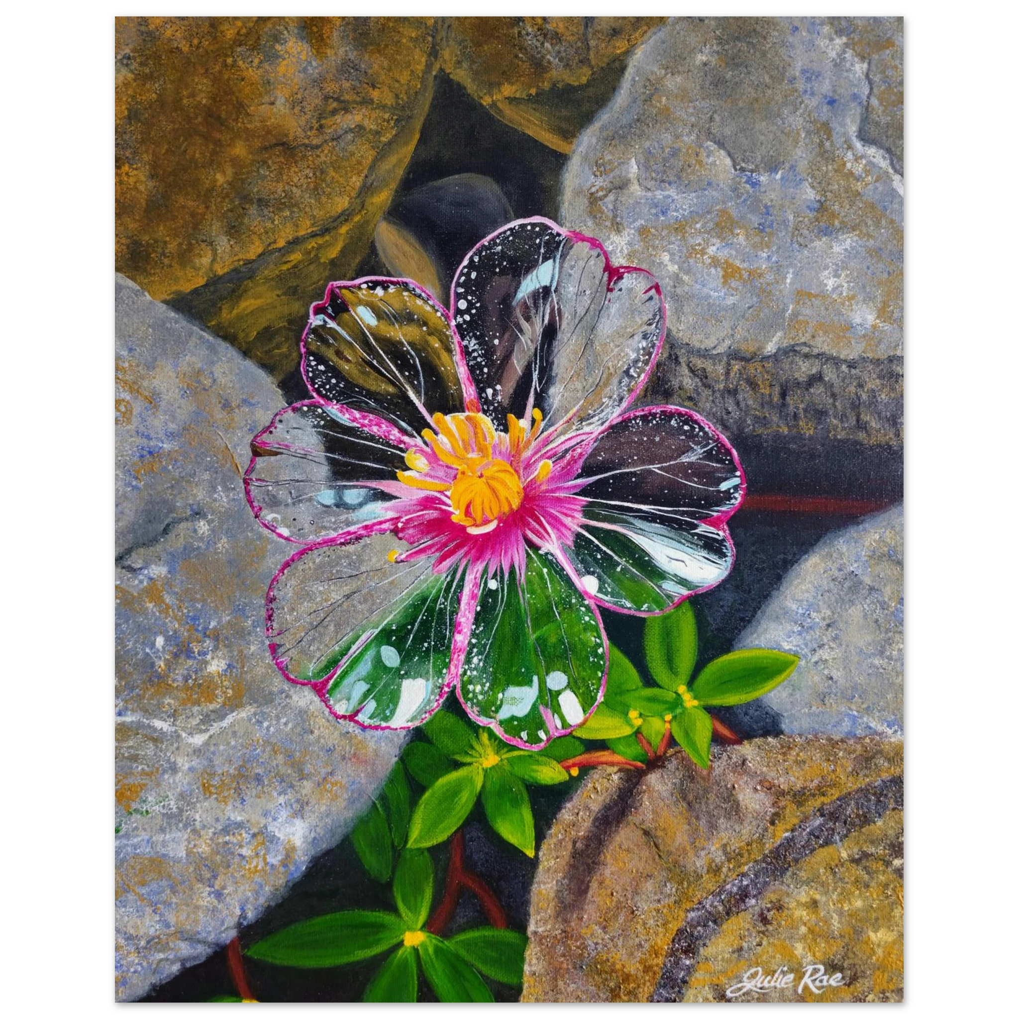 "Nothing Hidden" faith-based art print — transparent glass flower with pink edges and yellow center among rocks, by Julie Rae Art