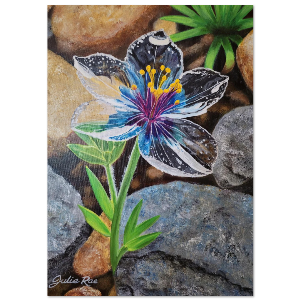 "Reflection — prophetic Christian fine art print of glass flowers made transparent by rain, the light of Jesus shining through, inspired by Matthew 5:16, by Julie Rae Art"