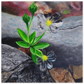 "Clear as Glass" faith-based art print — two transparent glass flowers among rocks, inspired by Revelation, by Julie Rae Art
